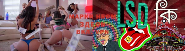 мяу мяу мука Алексеевка